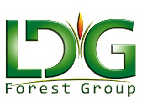 LDG Forest Group